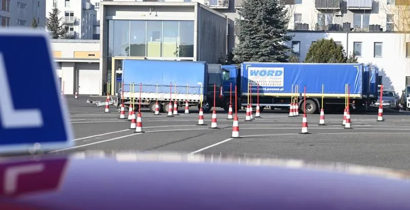 Odkryj Word: Jak To Narzędzie Może Znacząco Ułatwić Pracę Z Dokumentami