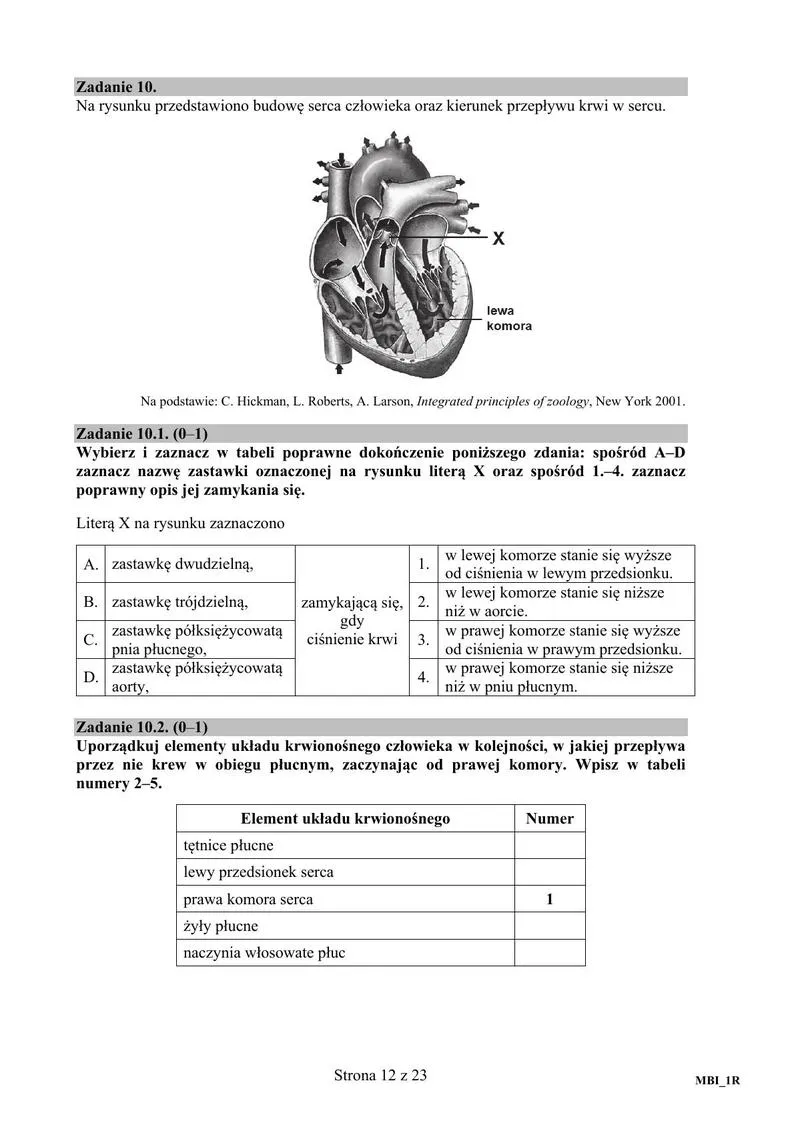 Pewniaki maturalne biologia