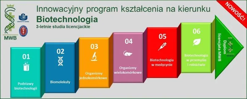 Umiejętności cenione przez pracodawców w przemyśle